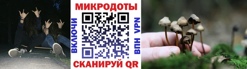 купить закладку  Октябрьский  Галлюциногенные грибы Psilocybine cubensis 
